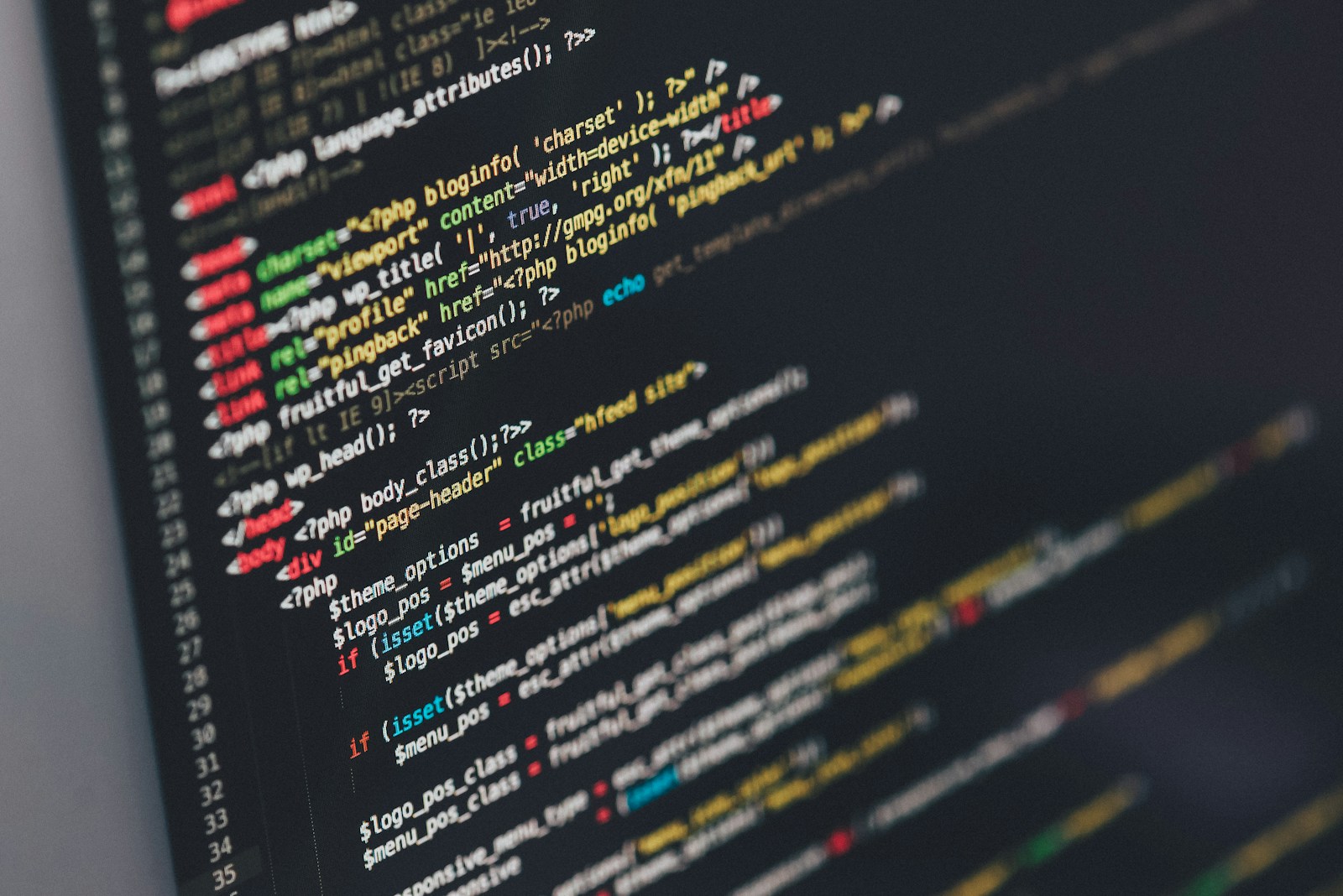 Source code on a development monitor